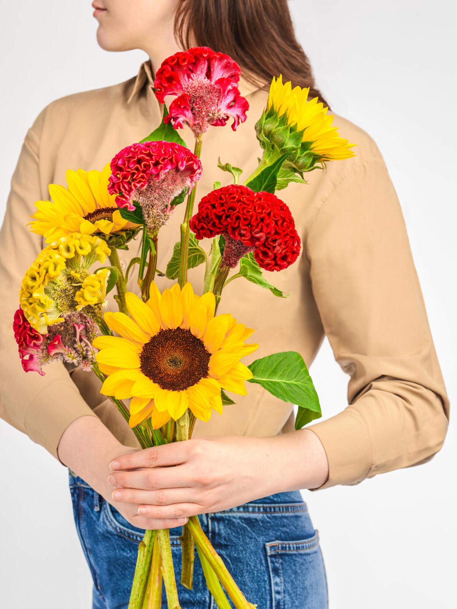 Sunflower Celosia