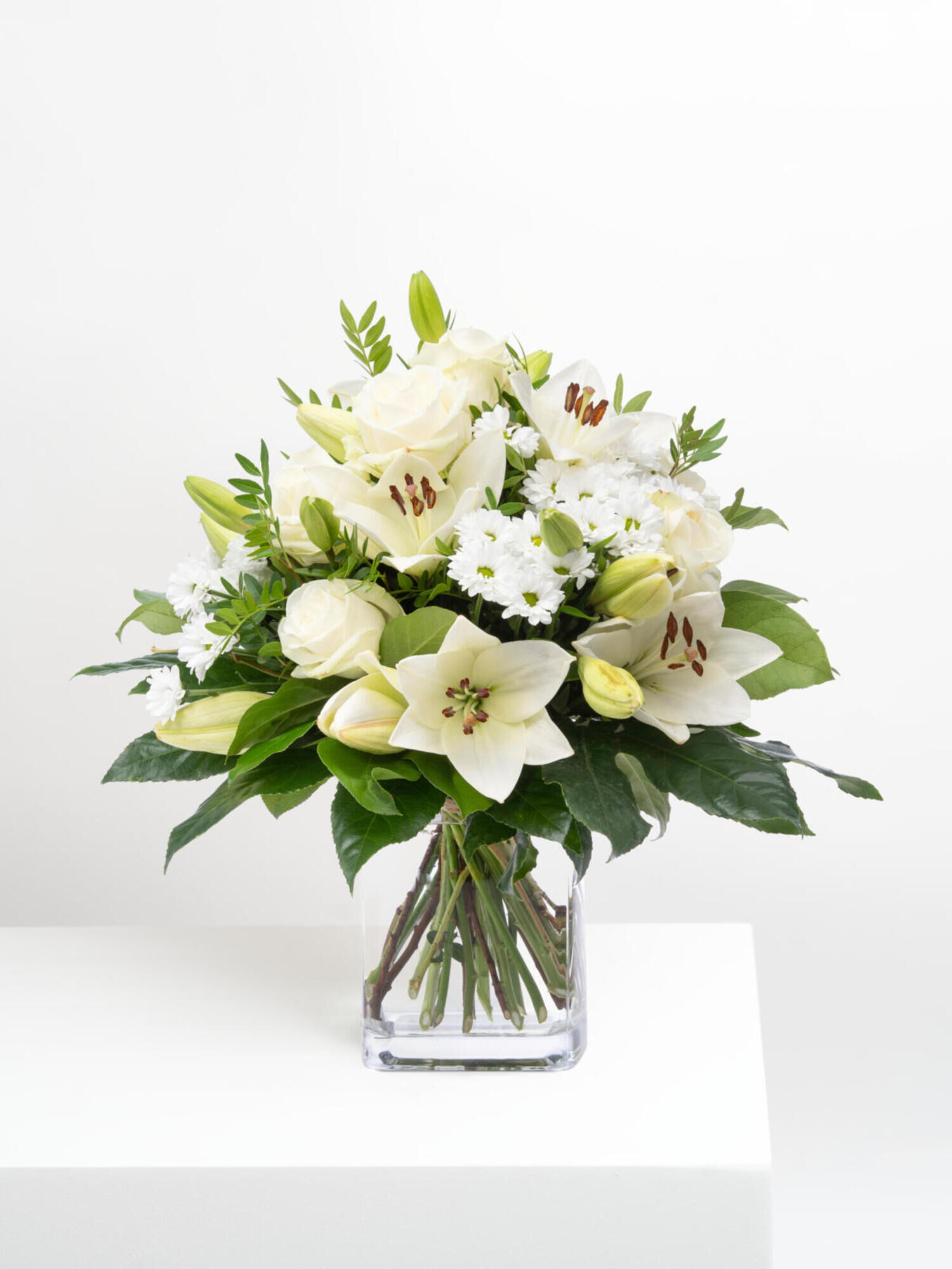 Lichtstrahl Lilien Rosen
