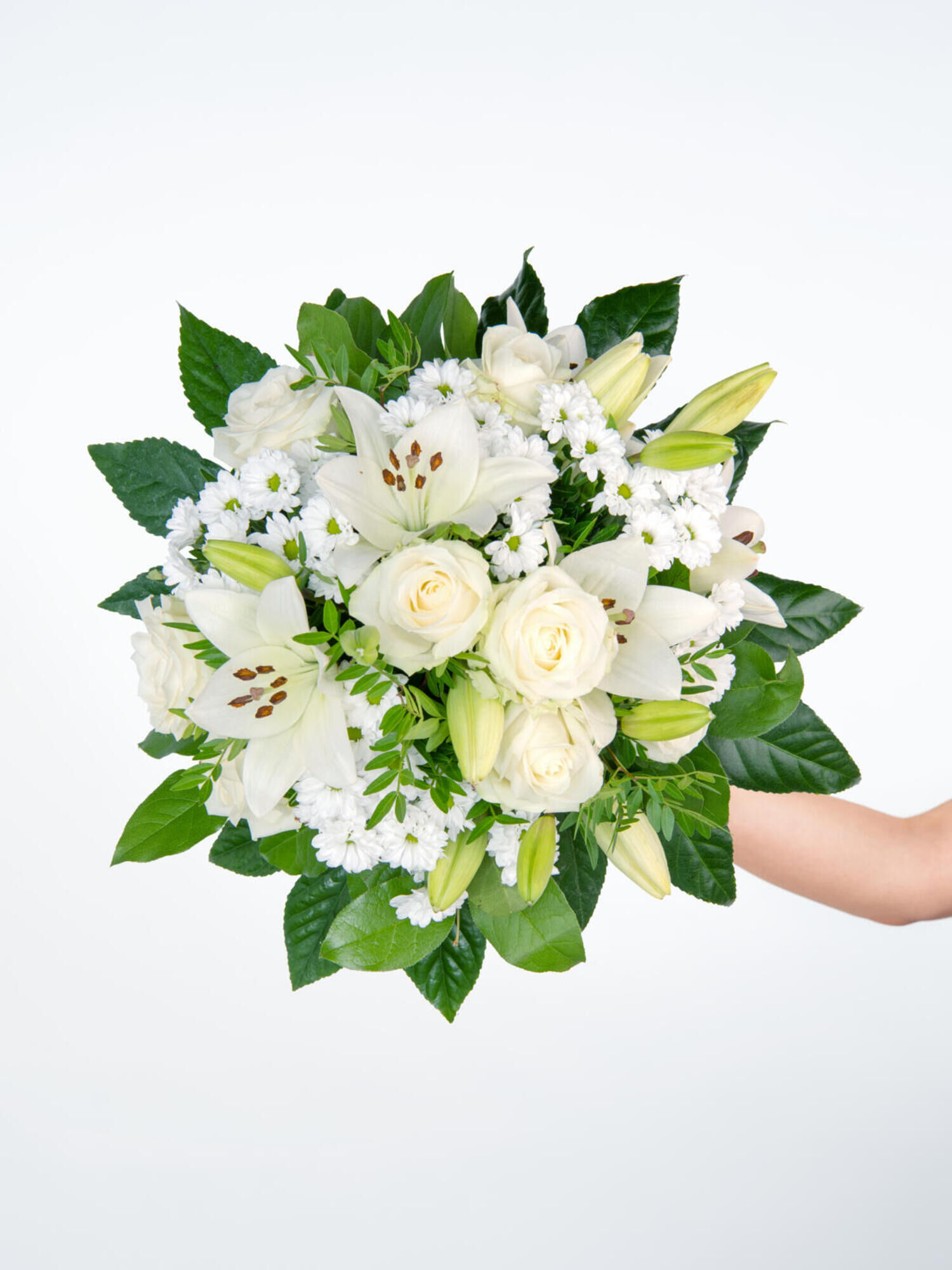 Lichtstrahl Lilien Rosen