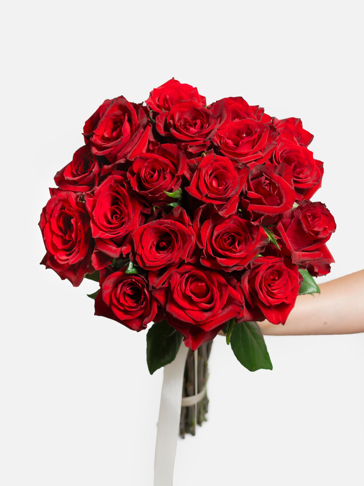 Je t aime Rosen