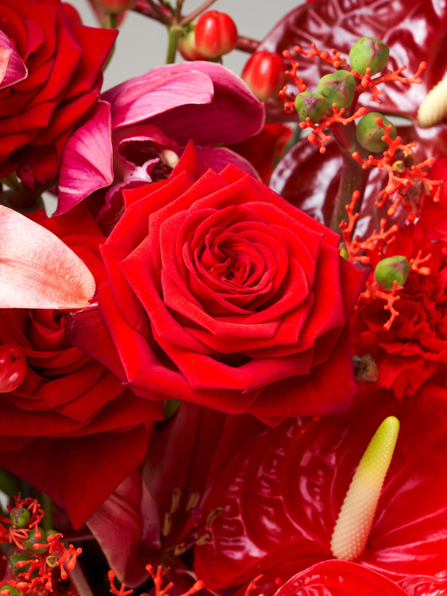 Rendezvous Rosen