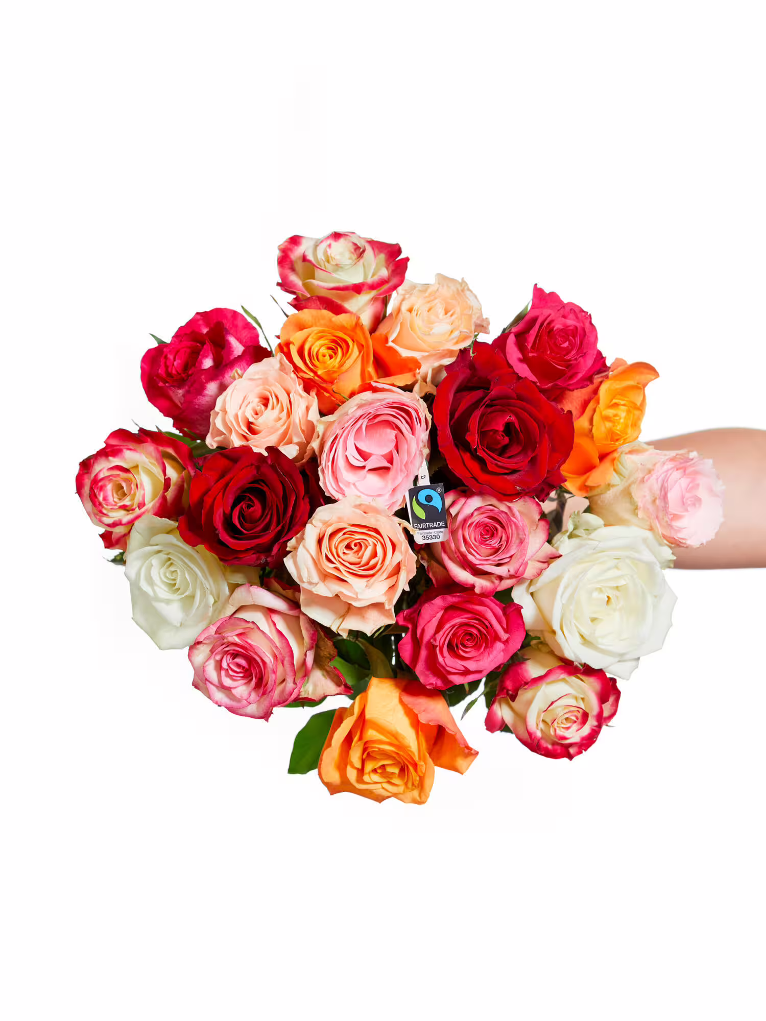 Rosenfreude