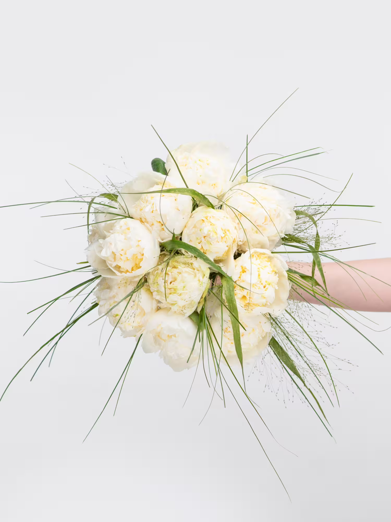 Blumenkönigin Pfingstrosen