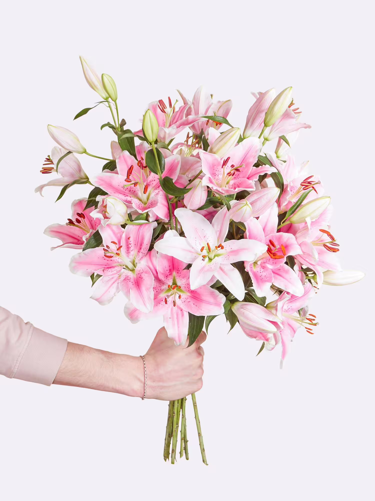 Pink Stars