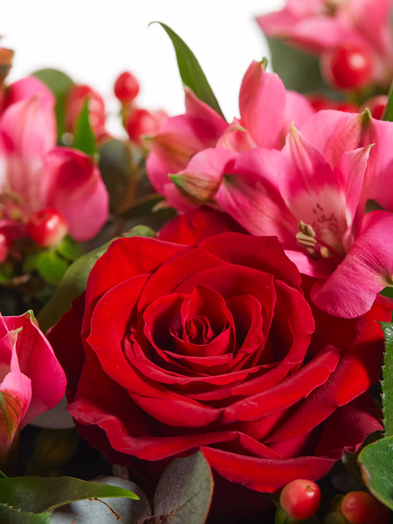 Mein Herz Rosen