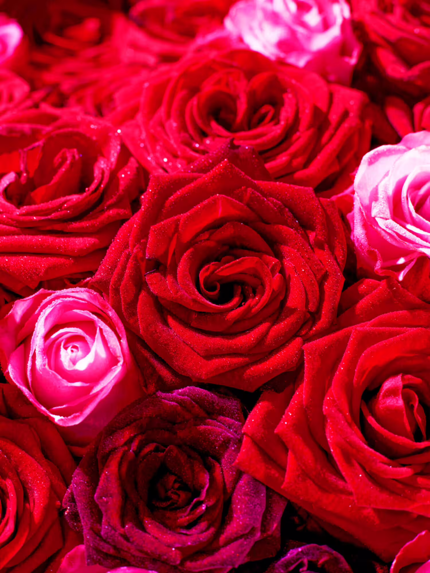 Fleurop Deluxe: Deep Love