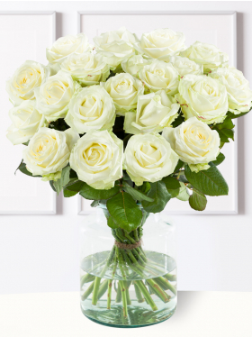 Weiße Rosen