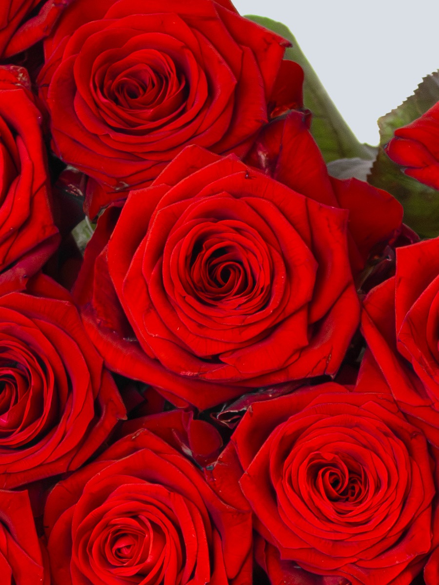 Rote Rosen Naomi